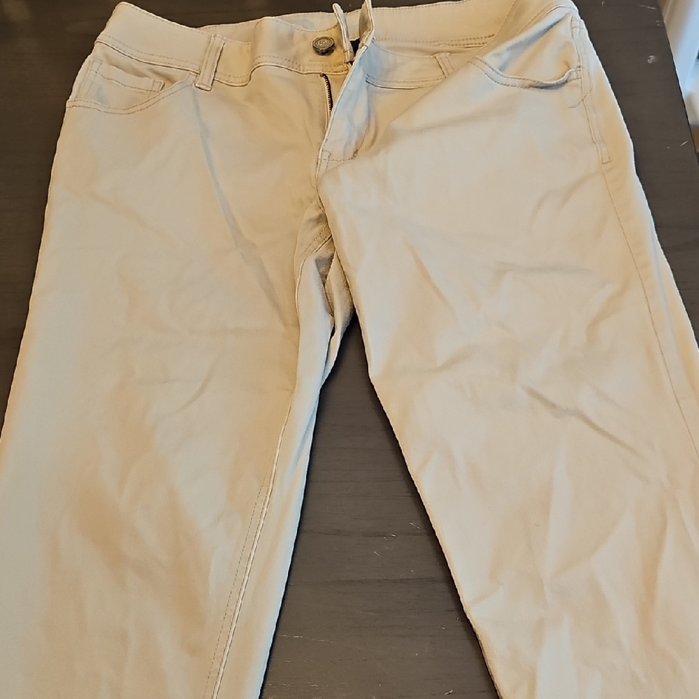 Lane Bryant Tan Chinos Classic Straight-Leg. SIZE 16